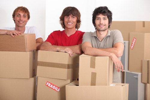 Moving equipment and packed boxes prepared for transport